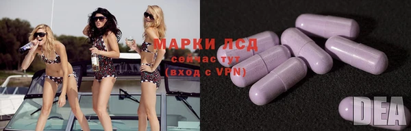 прущие грибы Абаза
