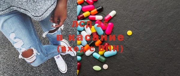 прущие грибы Абаза