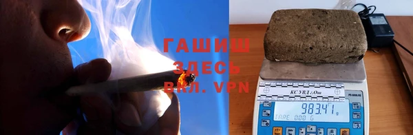 прущие грибы Абаза