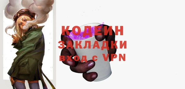 прущие грибы Абаза