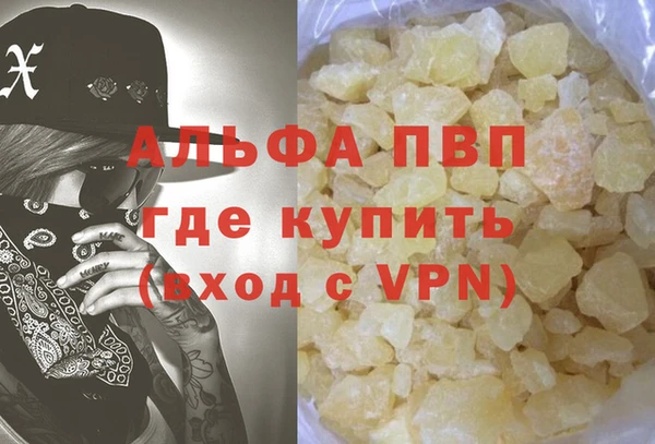 прущие грибы Абаза