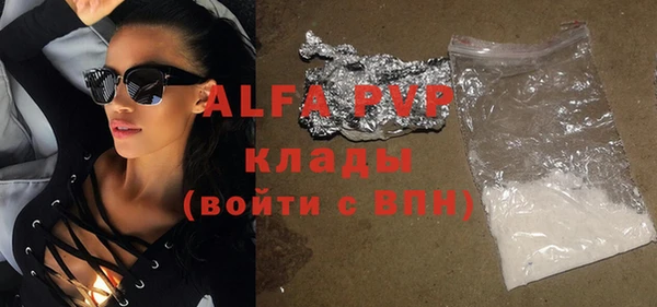 прущие грибы Абаза
